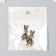 Decor for creativity Metal "Bunny in body" Gold set 2 pcs 3.3x1.6 cm
