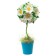 Set for creating topiary of small "chamomile"