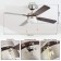 Ceiling fan with Gelsina, E14, 1x60W lamp, steel, nickel, glass, white