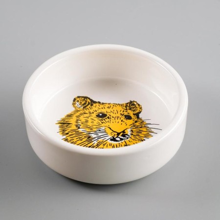 Ceramic bowl for rodents "Foolfound Muzzle" 80 ml 8.5 x 3 cm-1