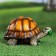 Garden figure "Turtle" average, 22x15.5x13cm