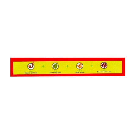 Baidyanath's toothpaste, 100 gr-3