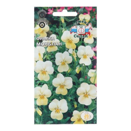 Flower seeds violet "Montblan", Euro, 0.05 g