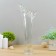 Vase "Coral" Transparent (without decor) 38cm