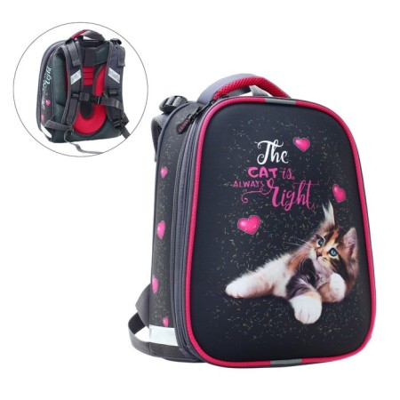 School backpack 38 x 30 x 16 cm, ergonomic back, stavia "cat is always right", gray-3
