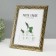 Photo frame plastic 15x20 cm "roots" black with gold 24x19 cm