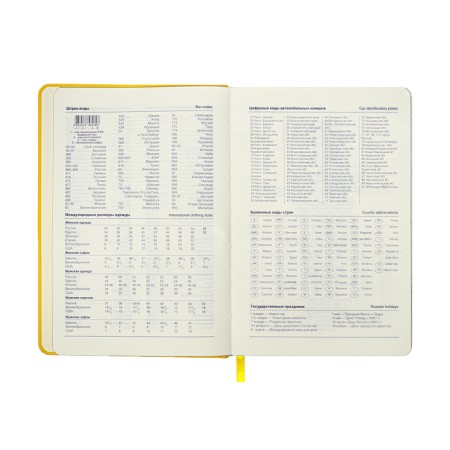 Leduced Diary A5, 140l, Cage, leatherette, elastic band, black cut, yellow-8