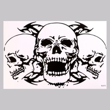 Stick 3D interior skull 57*40cm