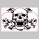 Stick 3D interior skull 57*40cm