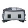 School backpack 38 x 30 x 16 cm, ergonomic back, stavia "cat family", gray