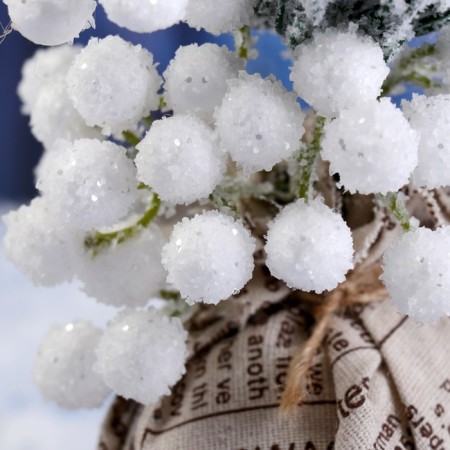 Decor "Winter Charm" white berries of cones in a bag, 22 cm-1