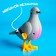 Clothing toy "pigeon"