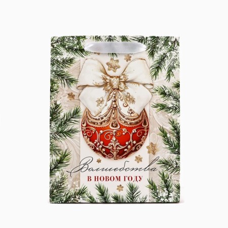 Package Gift New Year Laminated "Magic in the New Year", MS 18 x 23 x 10 cm, New Year-2