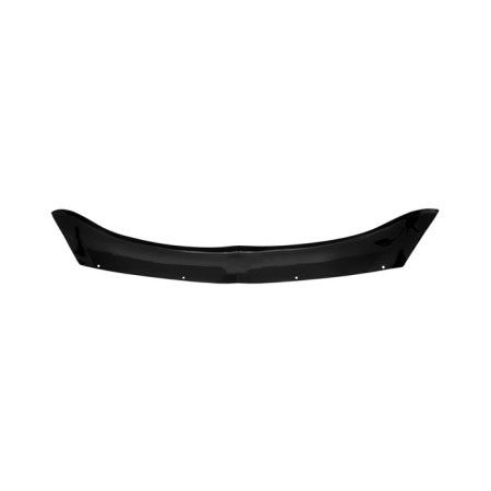 Mitsubishi Lancer Lancer IX 2000-2010 Cavle deflector, euro fasteners