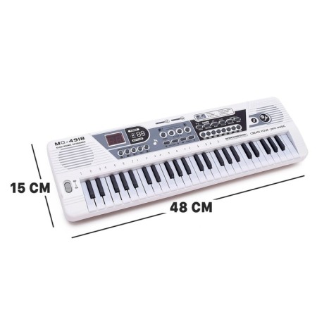 Synthesizer "Musician" with a microphone, 49 keys, works on a network and from batteries-1