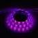 LED Luazon, 5 V, SMD5050, 1 m, IP65, 6.2 W, 60 LED/m, USB, multiproper.