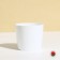 Flower pot, d = 10 cm, 0.5 l, plastic, white