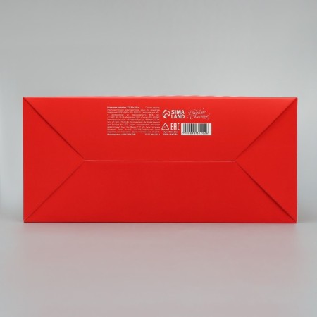 Folding box "New Year's Post", 22 x 30 x 10 cm, New Year-5