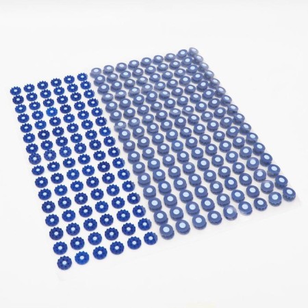 Kuznetsova applicator, 384 spines, film, 50 x 75 cm.-2