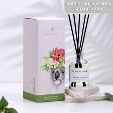 Fragrant Stella Fragrance 