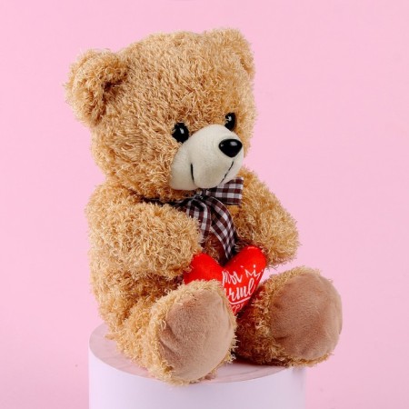 Soft toy "You are the best", bear, Mix color-2
