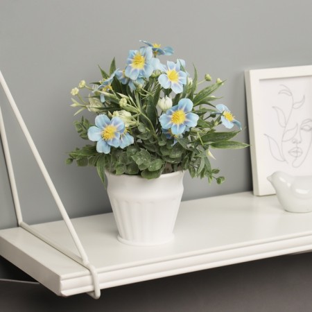 Bonsai in the pot "Primrose Extra Premium" 21x9 cm, mix-3