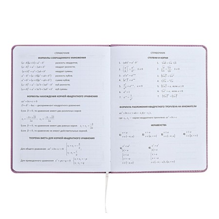 Universal diary for grade 1-11 Mentality, hard cover, artificial leather, liesse, 80 g/m2-7