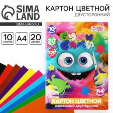 Cardboard color two -way A4 coated in the folder 10 sheets 20 colors 230g 