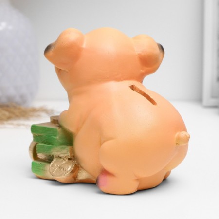 Piggy bank "Pig on money" mix 11cm-2