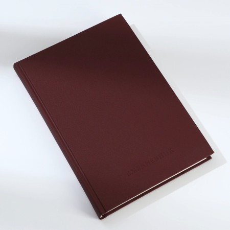 Deliciper of Leduced A5, 160 liters. Solid cover. Leatherette. Brown. Cream block-3