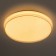 SPB-6-80 -RC SOLAR RGBD Lamp Dynamic 80W