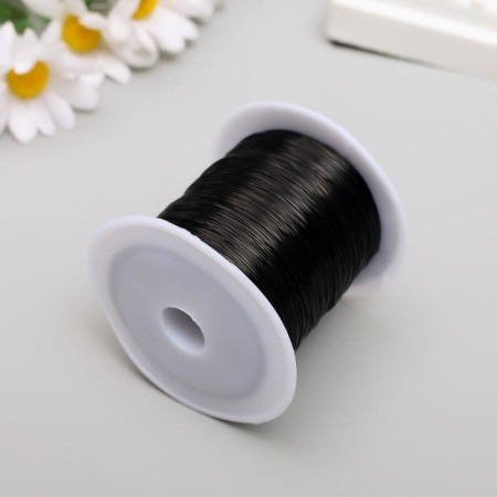 Biser fishing line 0.3 mm 100 m, black-1