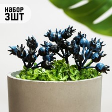 Set of plugs 