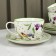 Service Porcelain Tea Daulay "Green Garden", 12 items: 6 cups 220 ml, 6 saucer d = 13 cm