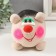 Growing gift Eco -Zhizhivchik "Hedgehog" MIX Gift packaging