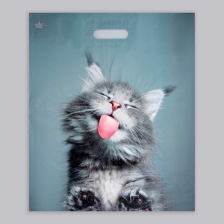 Package "Cat", polyethylene, with a cut pen, 38 x 45 cm, 60 μm-1