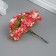 Decorative flower for the creativity of "chrysanthemum" red-white