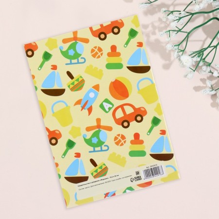 Birth certificates "toys" laminated-1