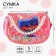Children's bag on the valve, 6x12x16 cm, adjustable belt, bright pink mix