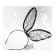 Carnival rim of a bunny