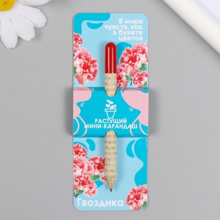 Growing gift pencils mini "clove"