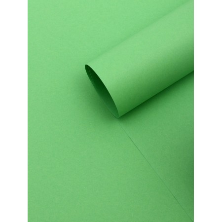 Paper packaging craft "Green", 50 x 70 cm