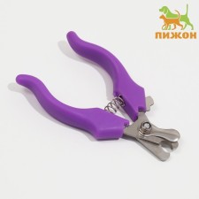 Small Economy Coogers, 12 x 4.5 x 1.4 cm, purple