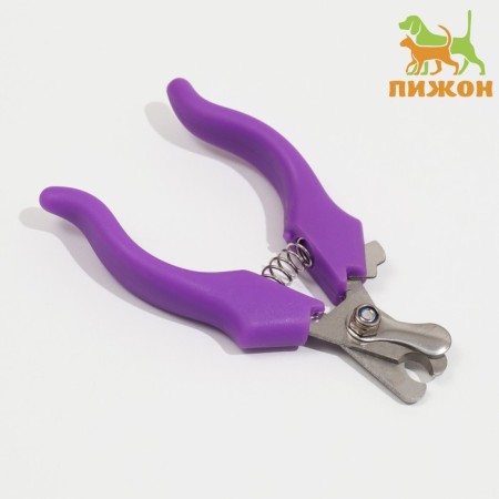 Small Economy Coogers, 12 x 4.5 x 1.4 cm, purple