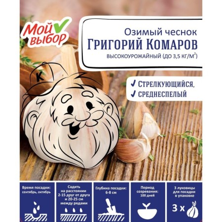 Garlic winter Grigory Komarov 40+, packaging 3 pcs-2
