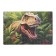 Puzzle "Dinosaur", 160 elements