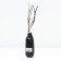 Barberry Tunberg "Rosetta" 1 pc, tube, spring 2024
