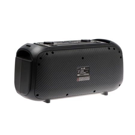 Portable karaoke system Eltronic Dance Box 200, 25 W, BT, SD, AUX, backlight, microphone-3