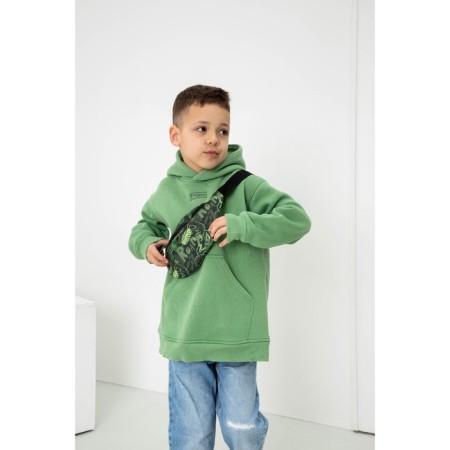 Bag Barry Board for the boy "Dinosaurs", on a zipper, outer pocket, green color-6