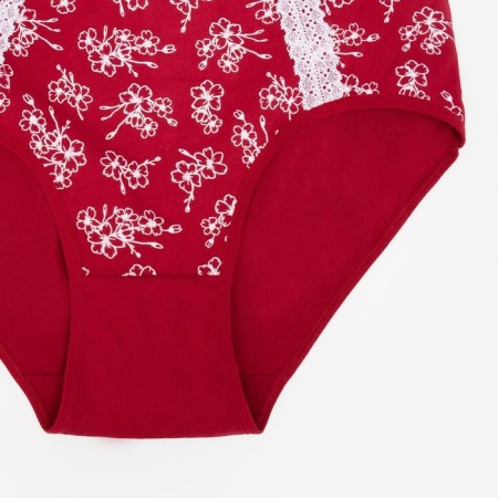 Credes of slips women Collorista, burgundy color, size 58-60-1